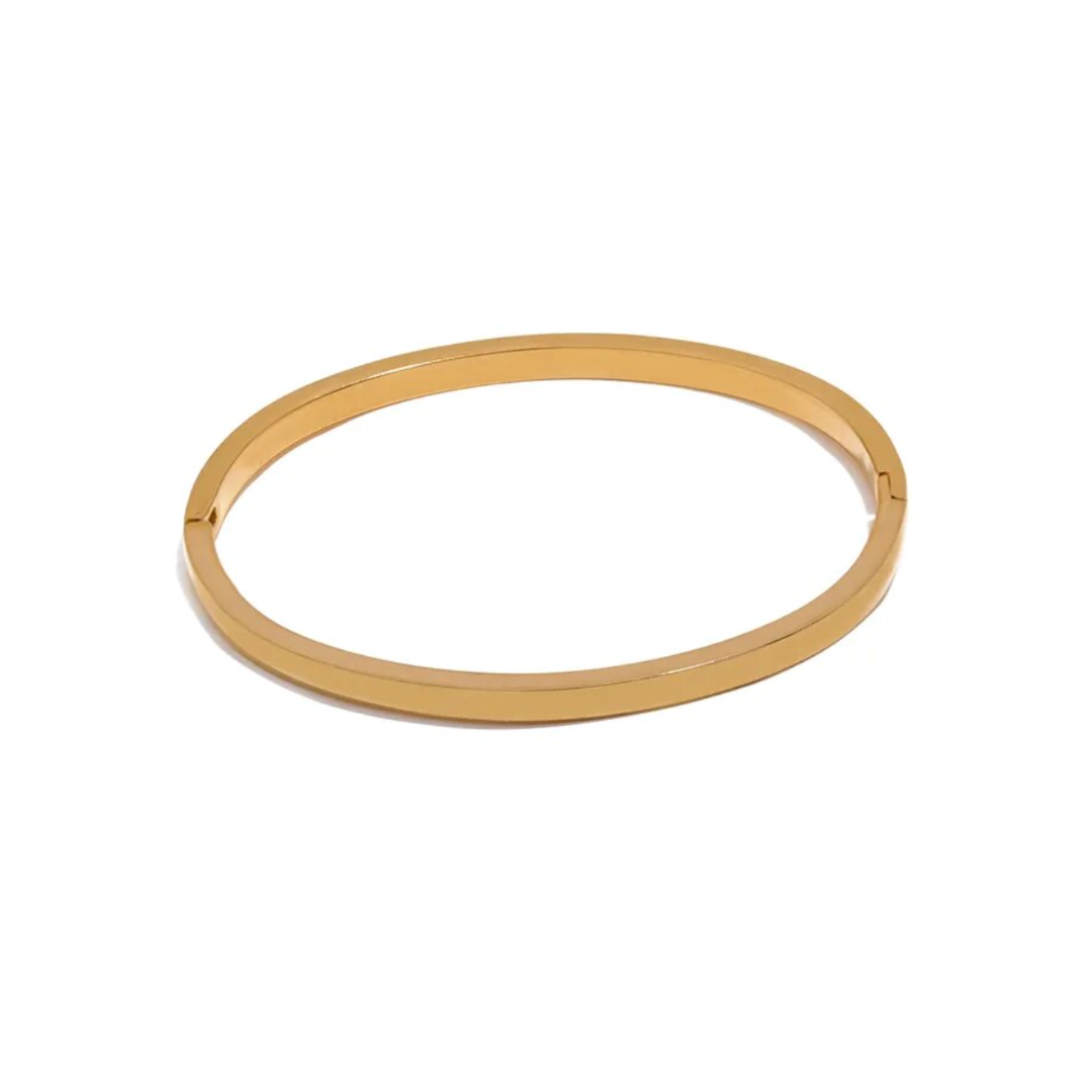 Luna Bangle | Stainless Steel & 18k Gold Plated